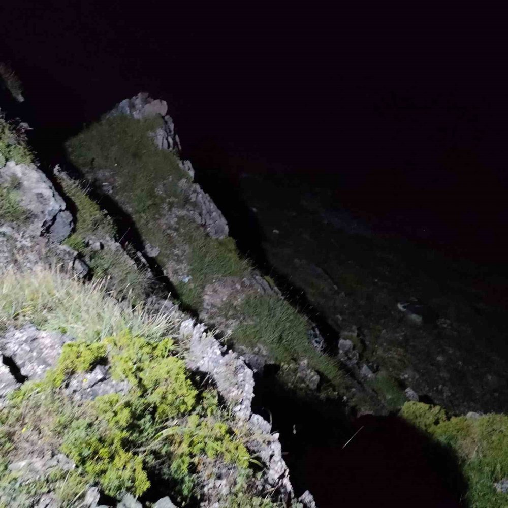 Tarbzon Araklı Yaylasında Kayalıklardan Düşen Vatandaşı İtfaiye Kurtardı