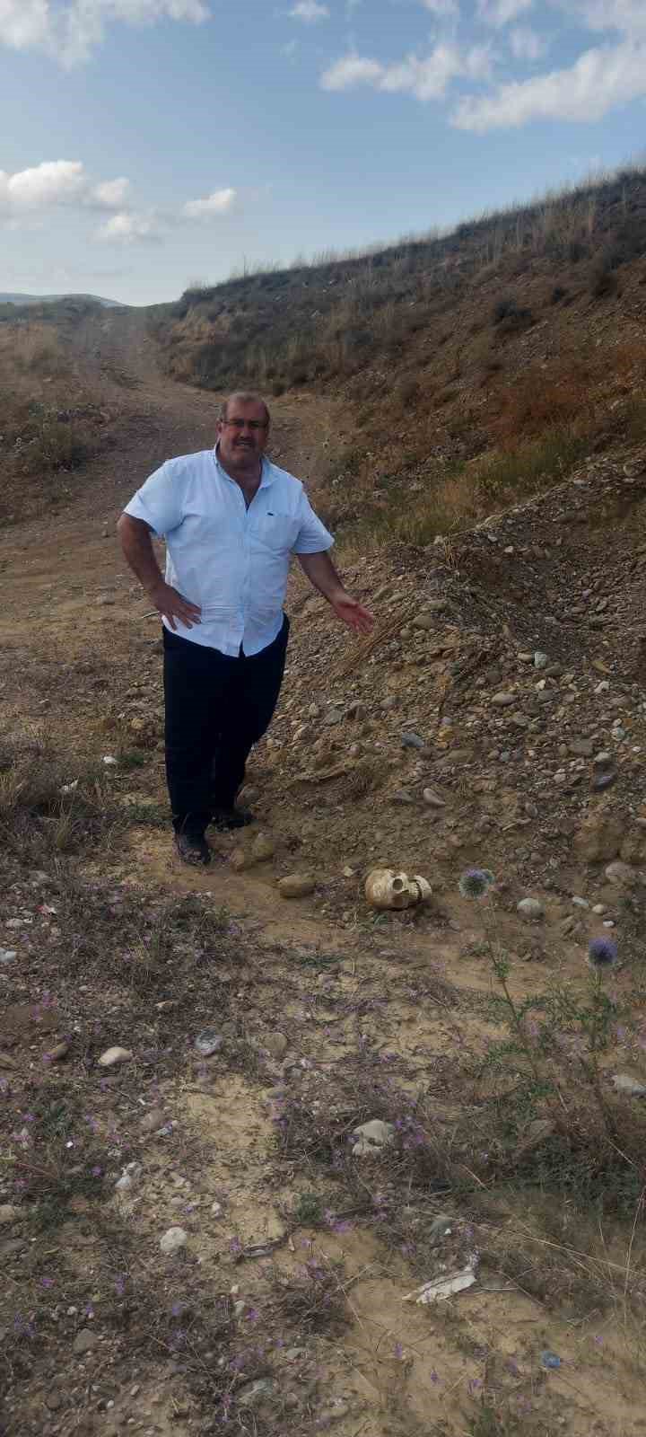 Yol ortasında kafatası görenleri şaşırttı , Gümüşhaneliler polise haber verdi