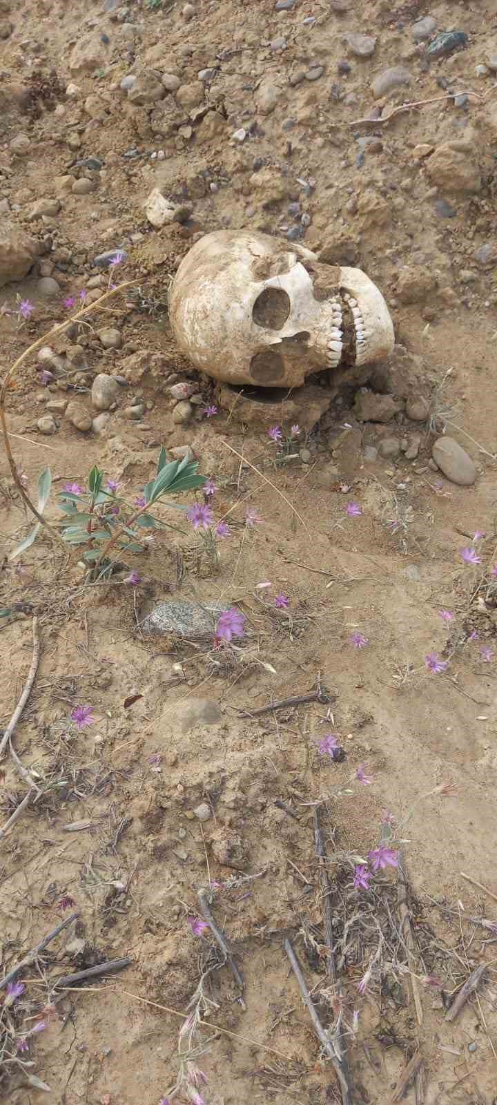 Yol ortasında kafatası görenleri şaşırttı , Gümüşhaneliler polise haber verdi