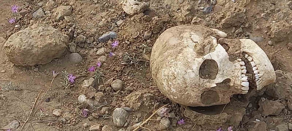 Yol ortasında kafatası görenleri şaşırttı , Gümüşhaneliler polise haber verdi