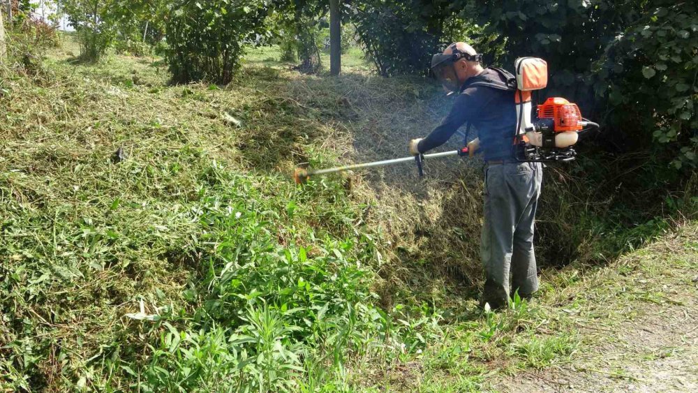 Giresun’da Fındık Üreticilerinin Yaklaşan Hasat Öncesi Bahçe Temizliği Mesaisi Başladı