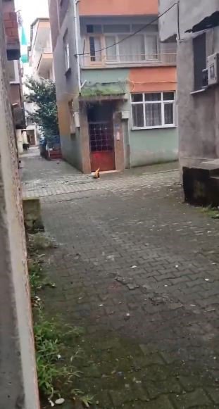 Yangına Müdahale Eden İtfaiye Ekiplerine İtfaiye Aracını Yıkayarak Teşekkür Ettiler