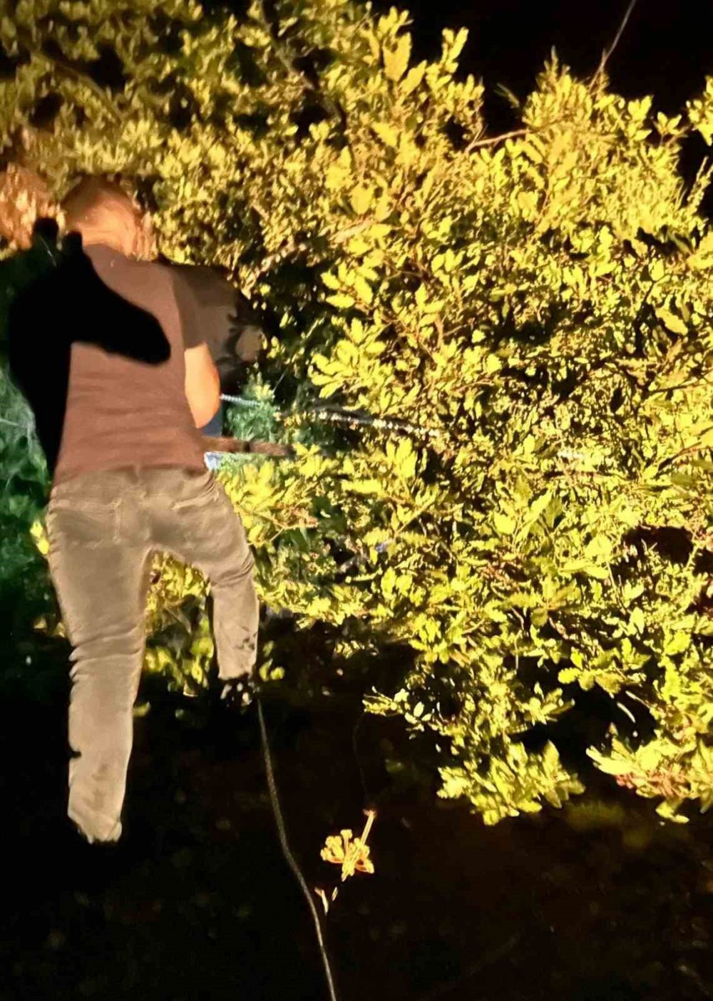 Artvin’de Dağ Kekiği Toplayan Aile Dağda Mahsur Kaldı, Yardımlarına Arama Kurtarma Ekipleri Yetişti