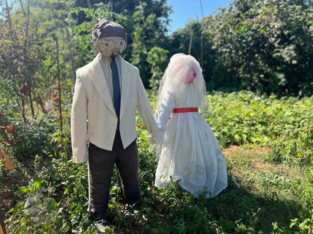 Trabzon ortahisar ilçesinde bir galip korkuluk , herkes resim çektiriyor