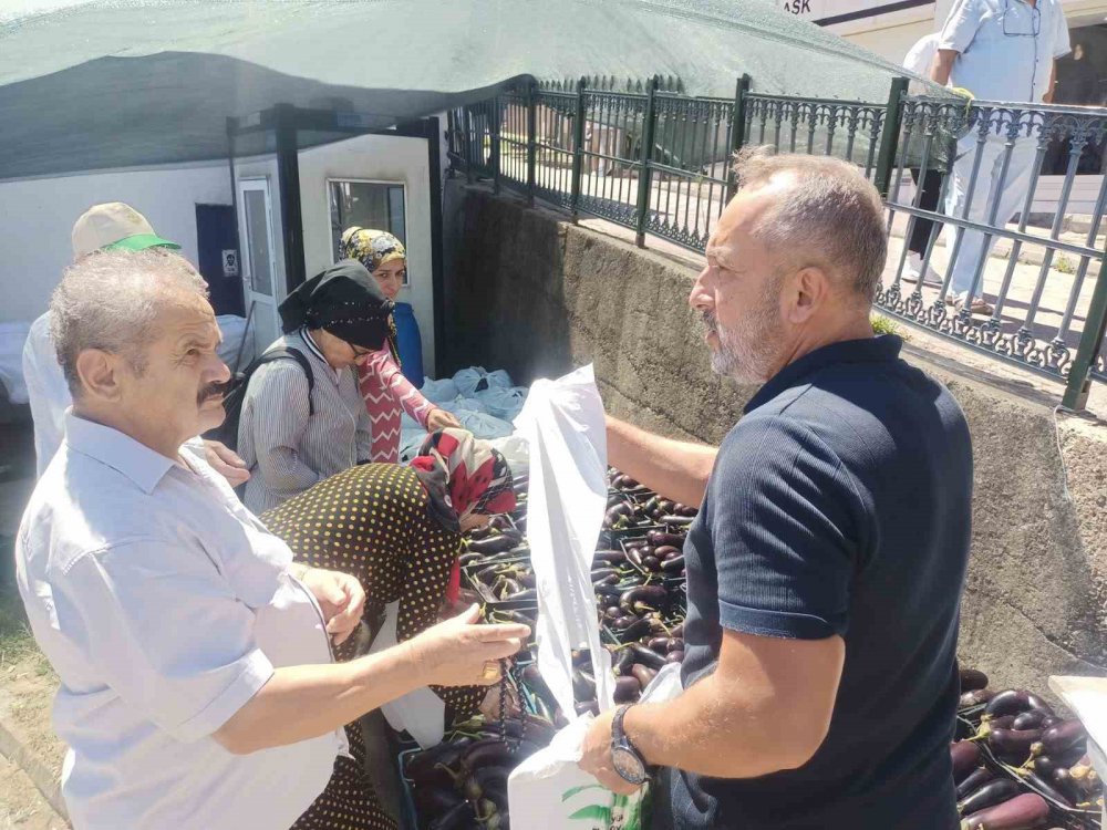 Zonguldak'ta Üretim Fazlası 5 Ton Patlıcanı Yüzlerce Kişiye Bedava Dağıttılar