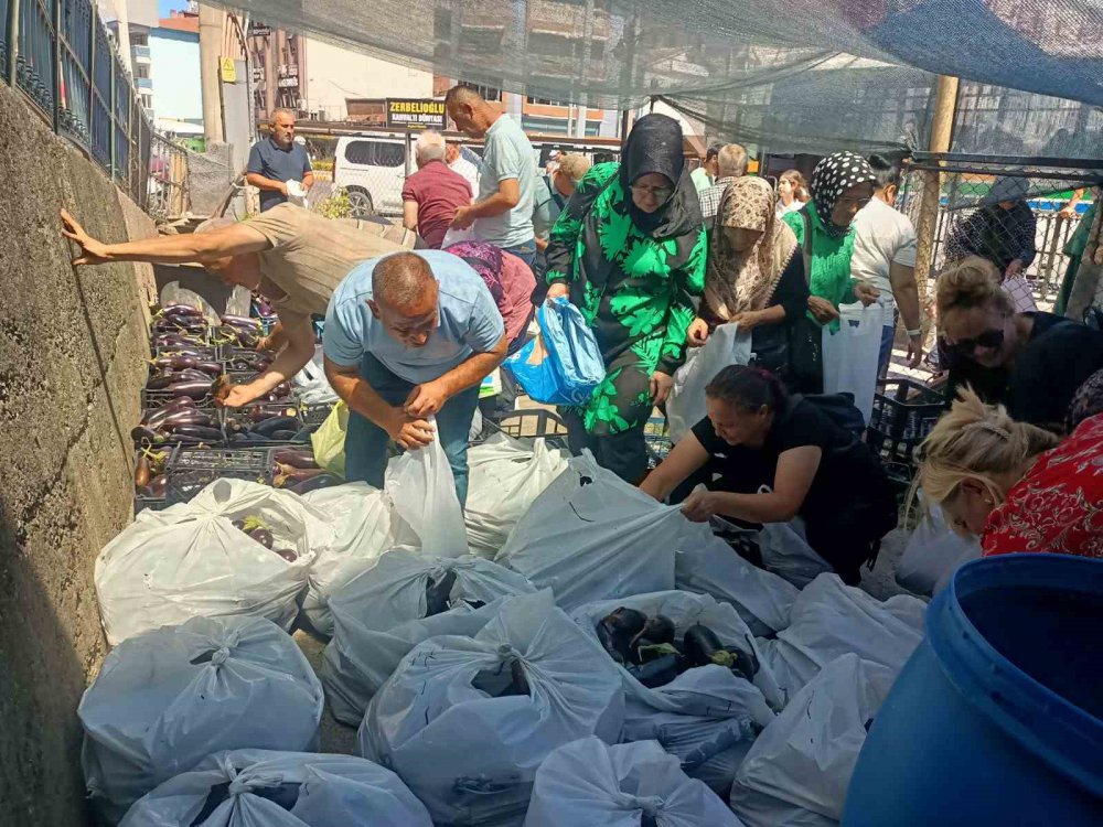 Zonguldak'ta Üretim Fazlası 5 Ton Patlıcanı Yüzlerce Kişiye Bedava Dağıttılar