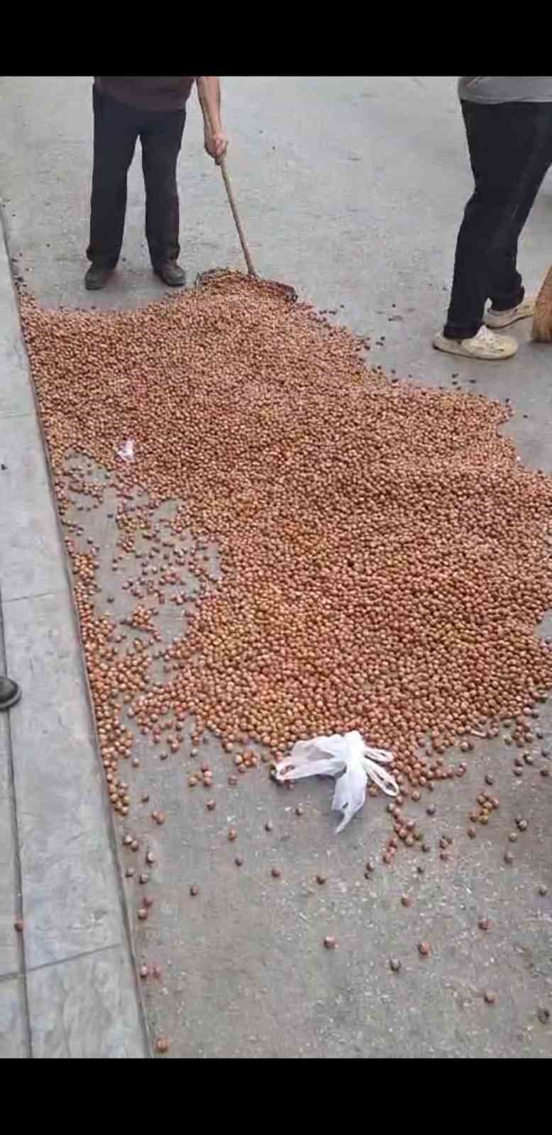 Fındığı alınmayınca kızan üretici fındığı sokağa döktü