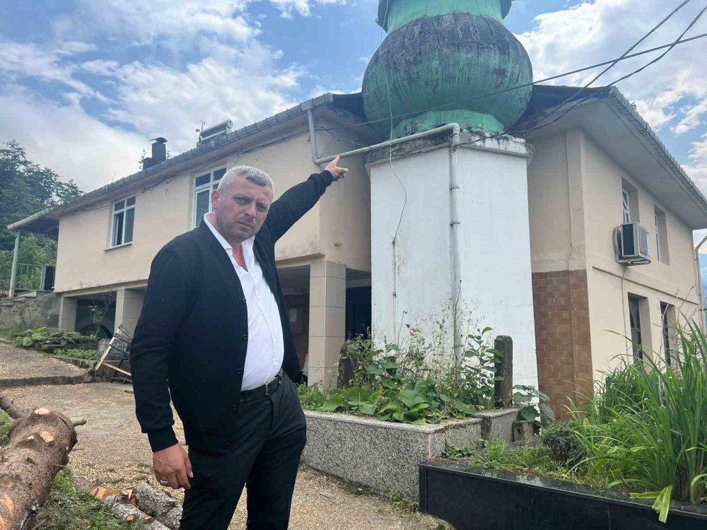 Hayrat'ta 800 Yıllık Camiyi Kurtarmak İçin Çevresindeki Ağaçları Kestiler