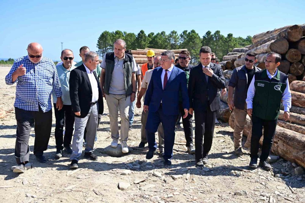 Karadeniz’in En Büyük Orman Deposu Neresi ?