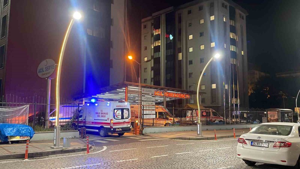 Rize'deki feci kazada 2 kişi öldü , 6 kişi yaralandı