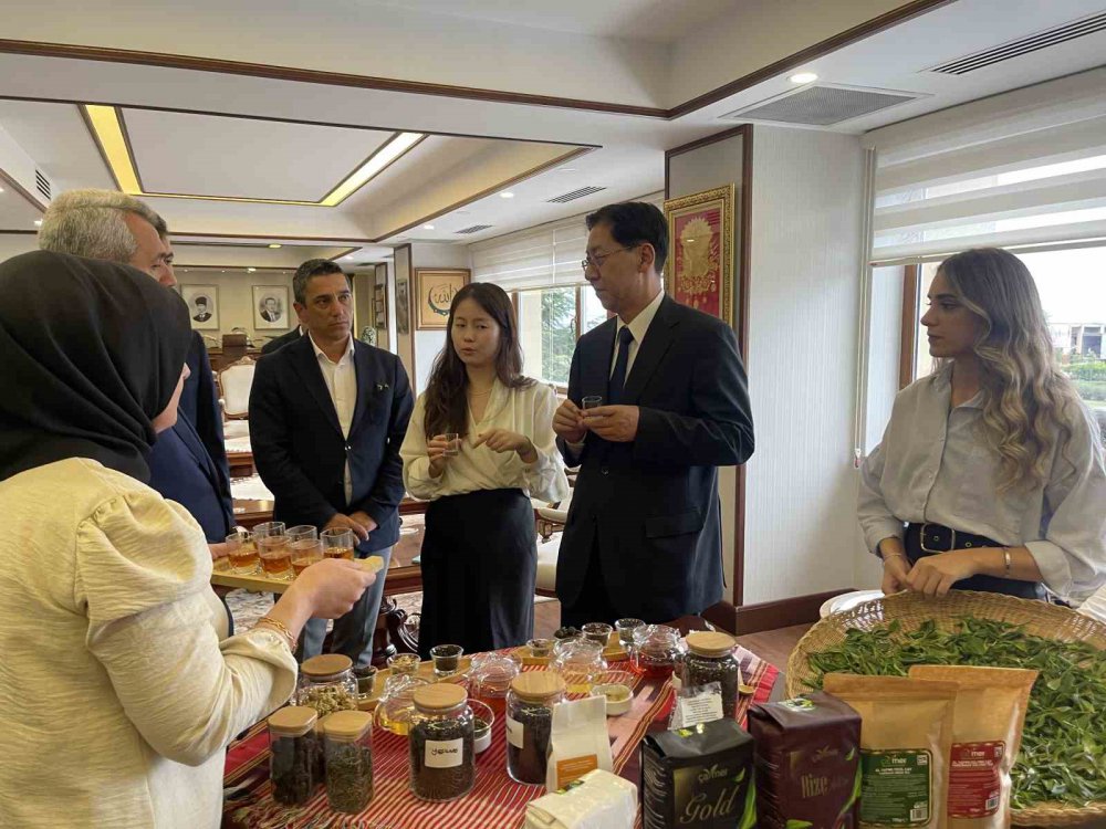 Çin Halk Cumhuriyeti Ankara Büyükelçisi Liu Rize'de , Rize Çayına Hayran Kaldı