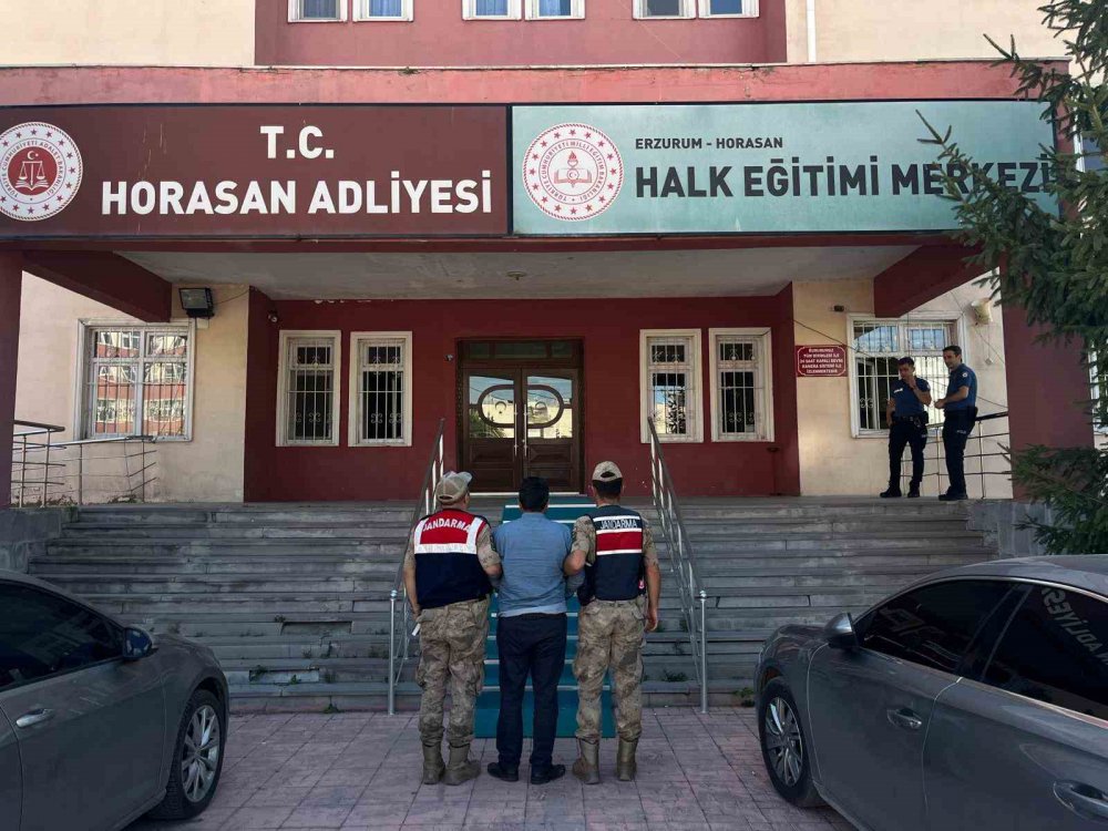 Erzurum'da Büyükbaş Hayvan Hırsızları Jandarmadan Kaçamadı