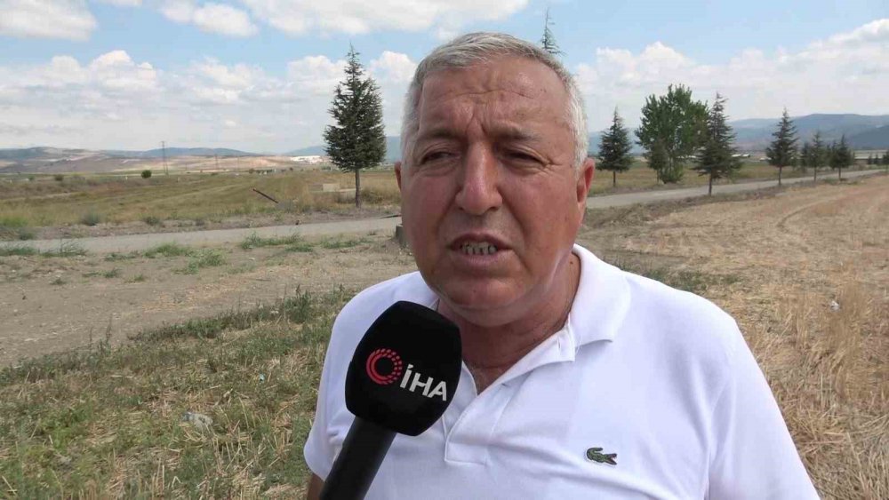 Amasya’da Soğan Tarlada Bir Aydır 6 Tl