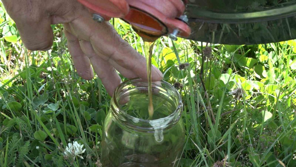 Anzer Balı’ndan Haber var , sağım tamamlandı