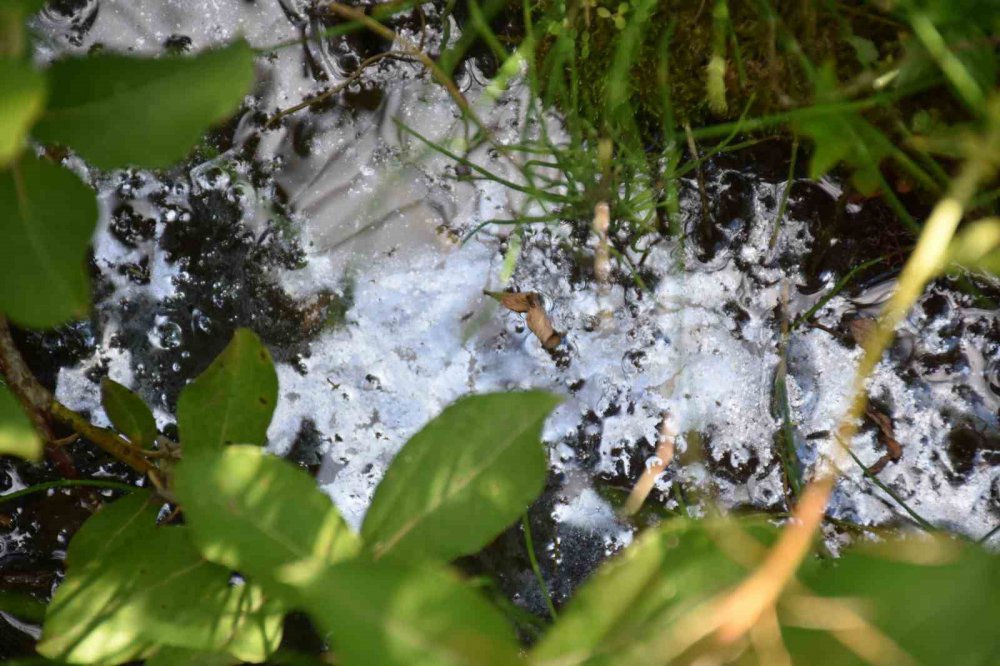 Bayburt'ta petrol bulundu , açıklama Rize'de araştırma yapan Prof. Dr. Nafiz Maden'den