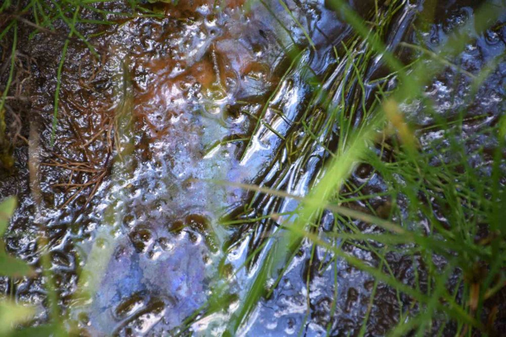 Bayburt'ta petrol bulundu , açıklama Rize'de araştırma yapan Prof. Dr. Nafiz Maden'den