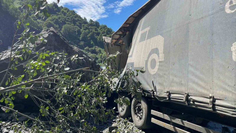 Artvin Hopa'da heyelan korkuttu
