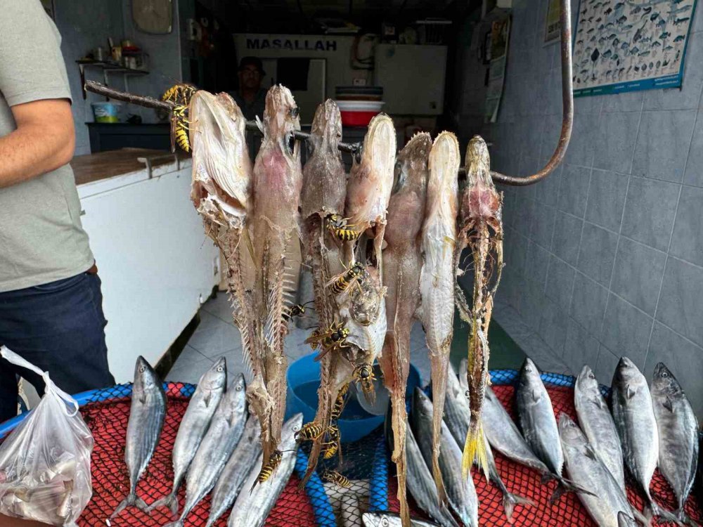 Rizeli yine hem zekasını hemde hakkı teslim etti