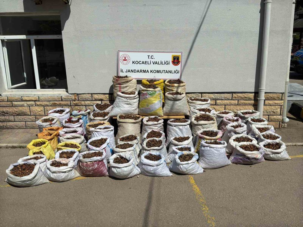 22 kişi gözaltına alındı , bakın neden ?