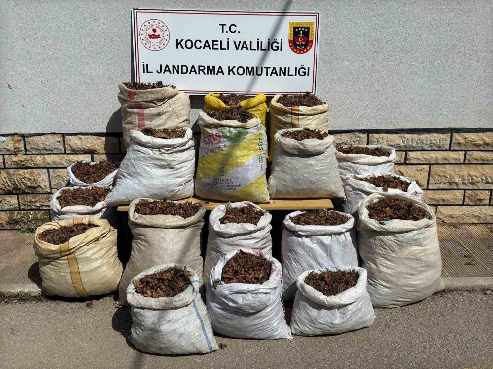 22 kişi gözaltına alındı , bakın neden ?