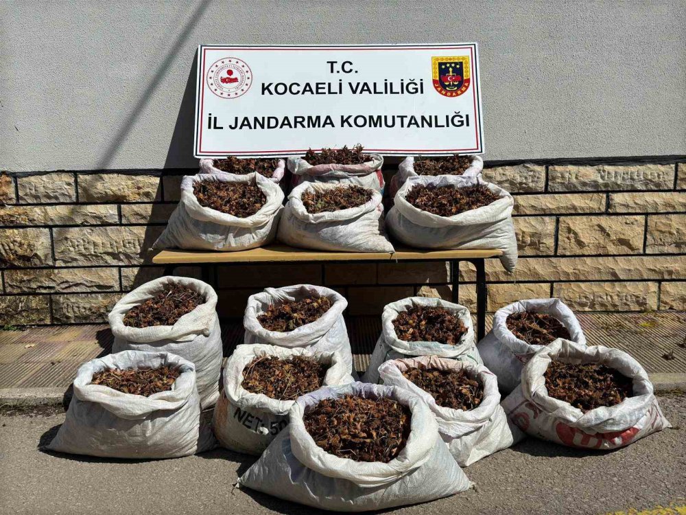 22 kişi gözaltına alındı , bakın neden ?