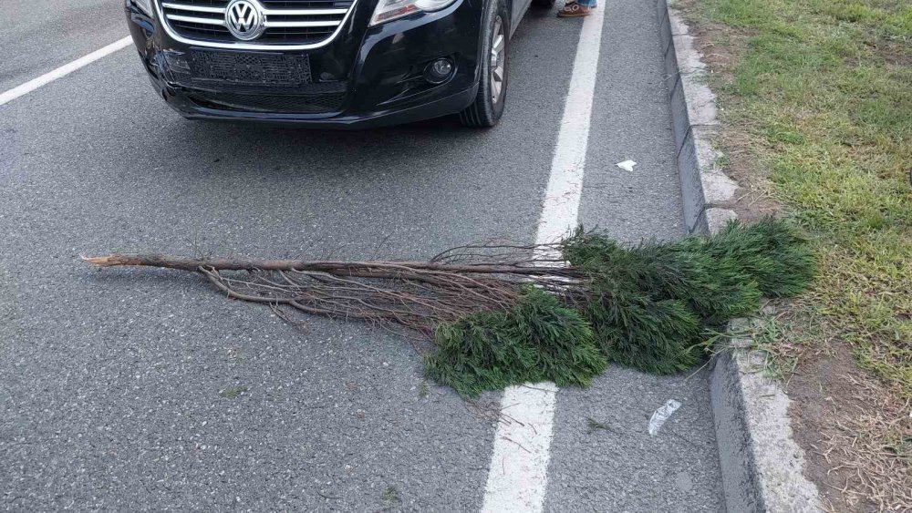Samsun'da Yaralamalı Kaza Sonrası Yola Konulan Dal Zincirleme Kazaya Neden Oldu