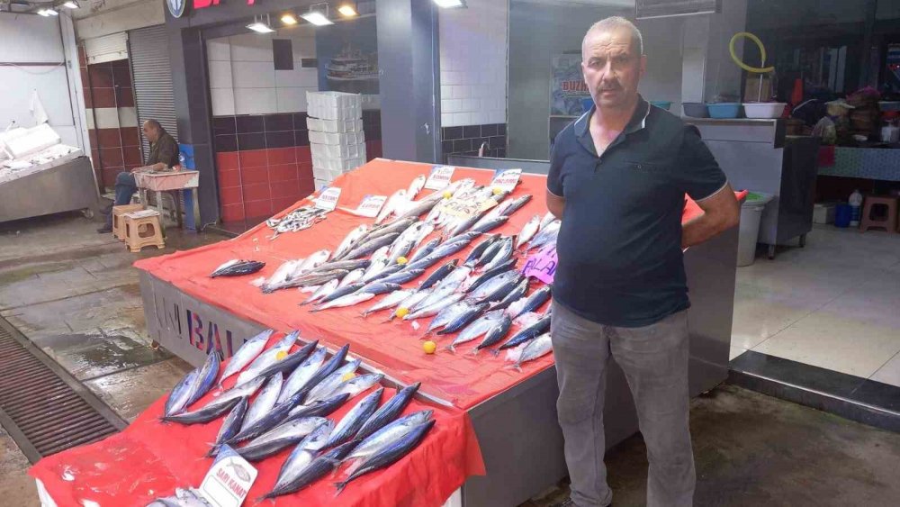 Ordu'da Palamut Fiyatları 150 Liraya Yükseldi