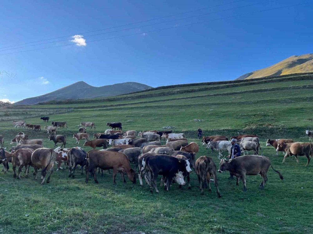 Artvin’de Sonbahar resmi çekmek isteyenler bu köye geliyor