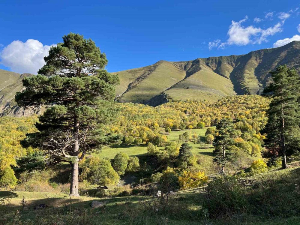 Artvin’de Sonbahar resmi çekmek isteyenler bu köye geliyor