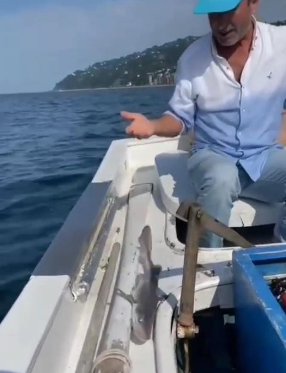 Eski Bakan Fatih Dönmez'e Rize'de Köpek Balığı Sürprizi