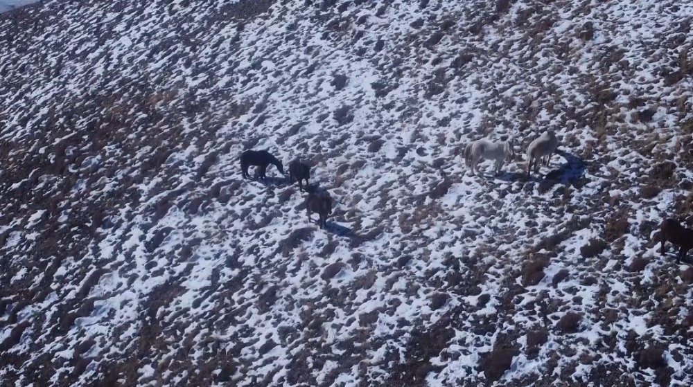 Bayburt Ve Erzincan’ın Yüksek Kesimlerine Kar Yağdı