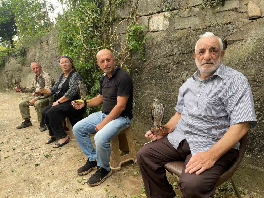 Rize'de Asırlık Gelenek: Atmacacılık Dededen Toruna, Babadan Oğula Yaşatılıyor