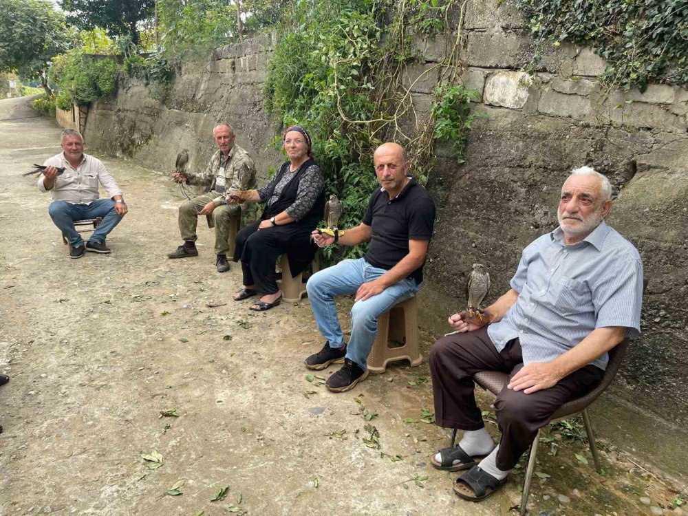 Rize'de Asırlık Gelenek: Atmacacılık Dededen Toruna, Babadan Oğula Yaşatılıyor