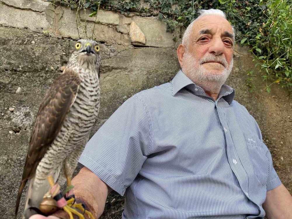 Rize'de Asırlık Gelenek: Atmacacılık Dededen Toruna, Babadan Oğula Yaşatılıyor