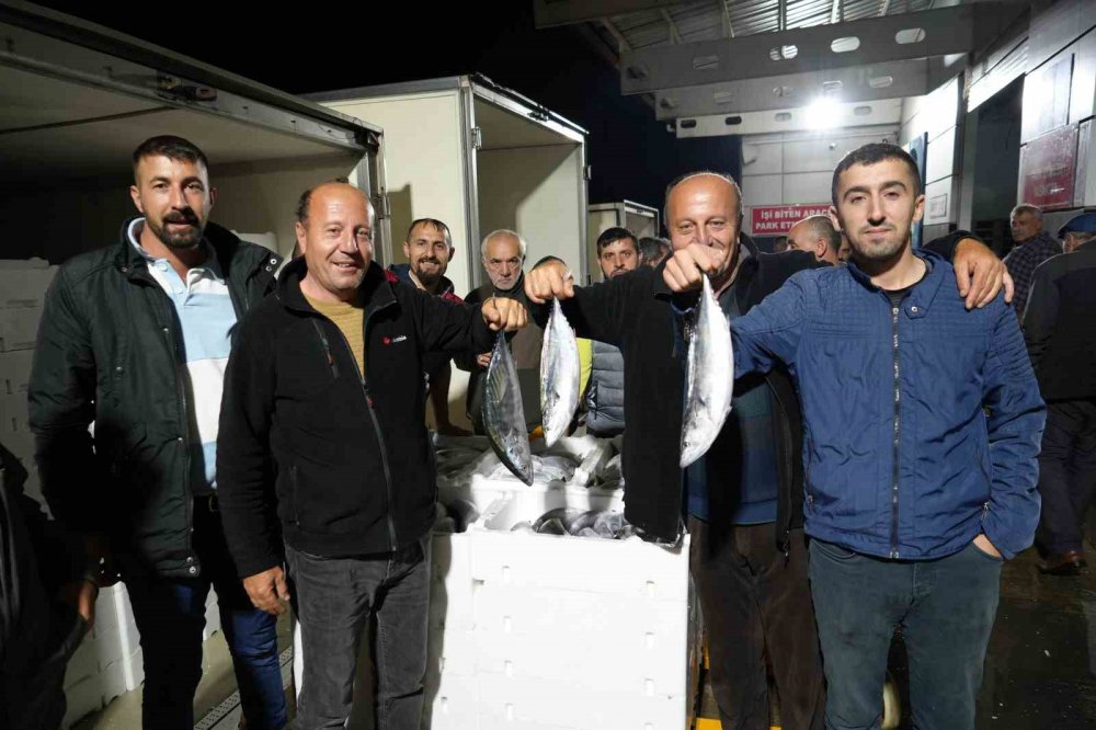 Samsun'da Balık Mezadında Kasalar Dolusu Palamut Kapış Kapış Satıldı