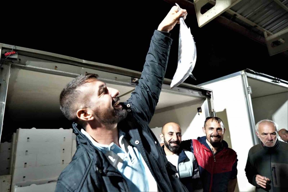 Samsun'da Balık Mezadında Kasalar Dolusu Palamut Kapış Kapış Satıldı