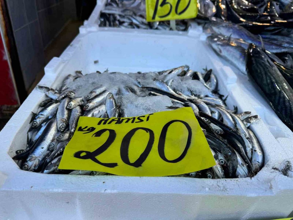 Rize Tezgahlarında Hamsi Ateş Pahası: Kilogramı 200 TL