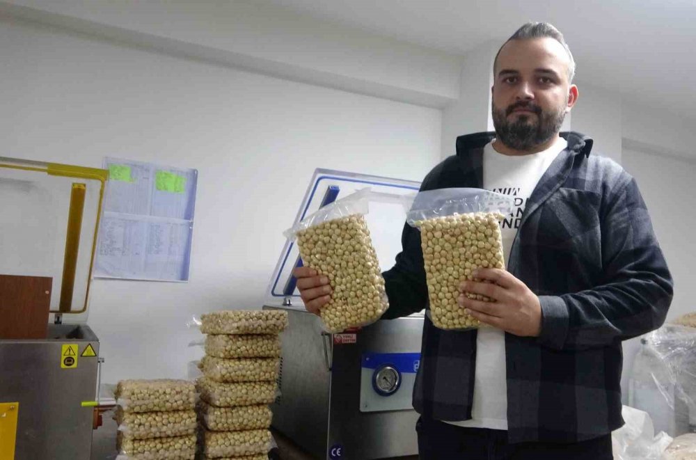Giresun'da Fındıkta Hasat Ve Kurutma Bitti; Kırma, Kavurma Ve Paketleme Dönemi Başladı
