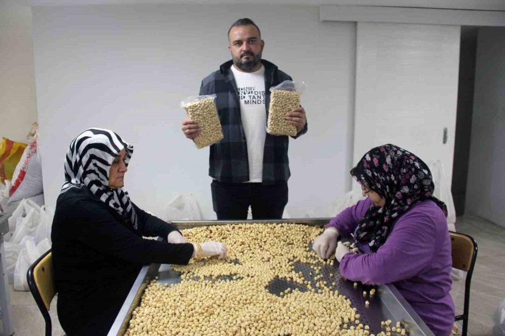 Giresun'da Fındıkta Hasat Ve Kurutma Bitti; Kırma, Kavurma Ve Paketleme Dönemi Başladı