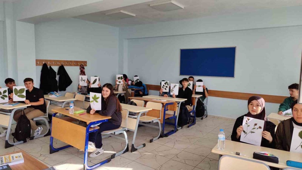 Ordu’da Bir İlk: Öğrenciler Bitki Koleksiyonu Oluşturdu