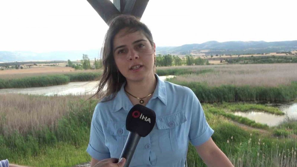 Türkiye’nin En Önemli Kuş Cennetleri Arasında Yer Alıyordu: Kuraklık Tamamen Kuruttu