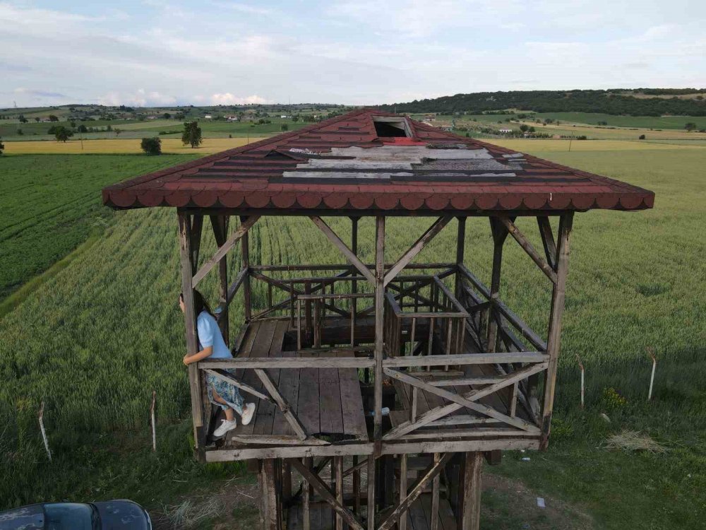 Türkiye’nin En Önemli Kuş Cennetleri Arasında Yer Alıyordu: Kuraklık Tamamen Kuruttu