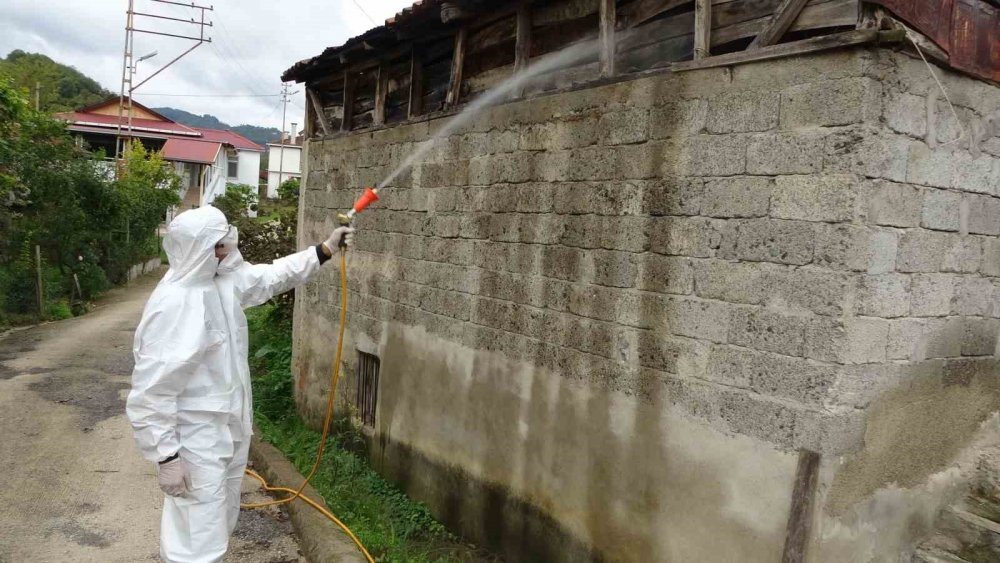 Ordu’da Kahverengi Kokarcaya Karşı Topyekûn Mücadele Başlatıldı