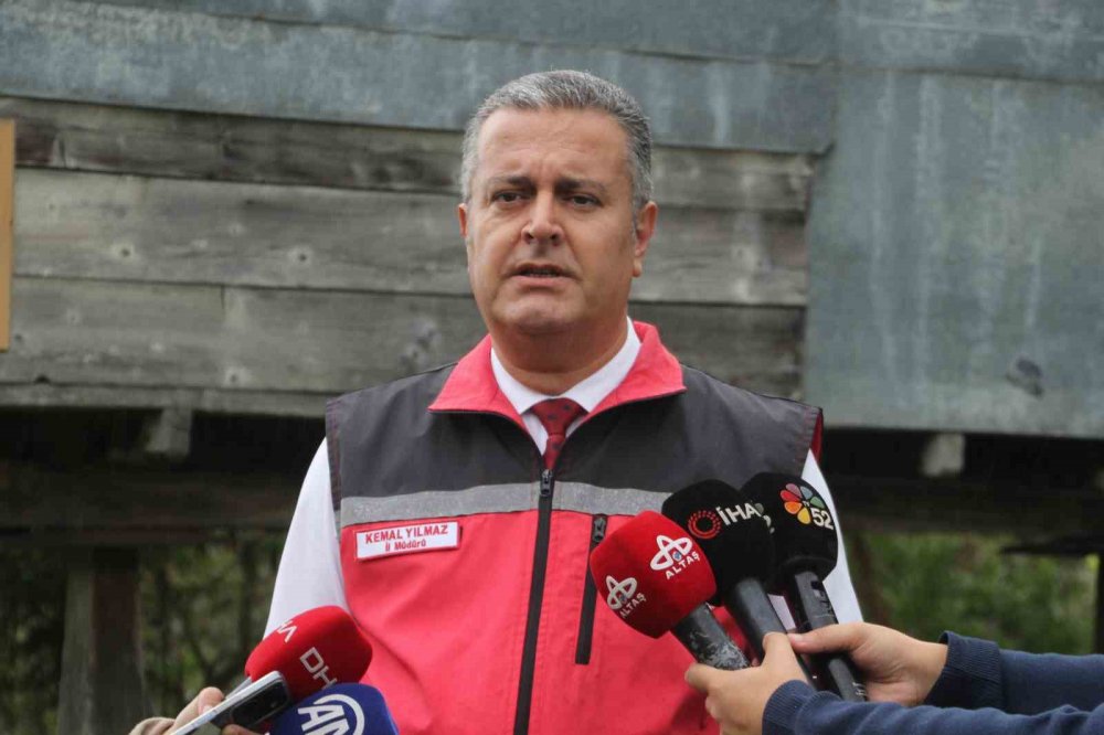 Ordu’da Kahverengi Kokarcaya Karşı Topyekûn Mücadele Başlatıldı