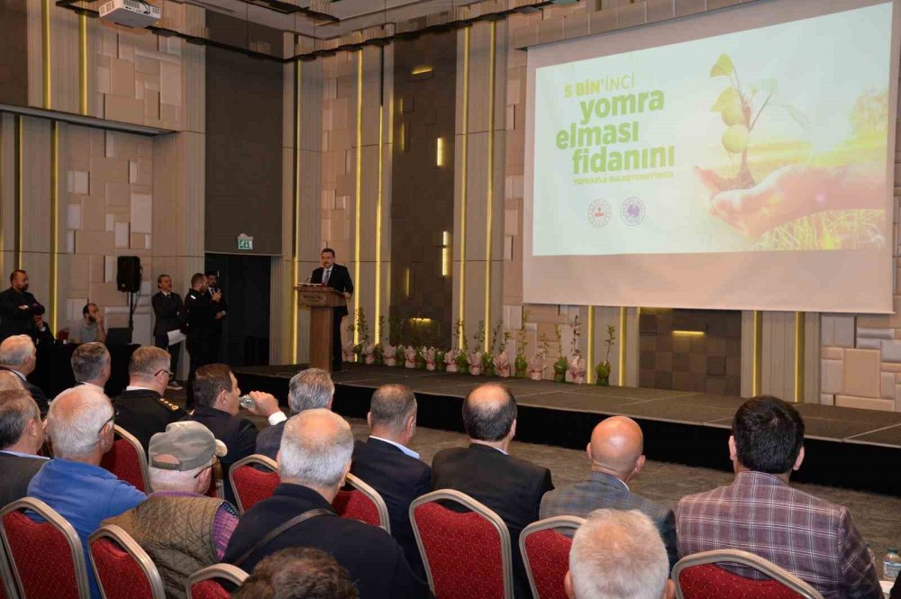 Yomra Elmasına Sahip Çıkıyor , Beş Bin Yer Elması Dikiliyor