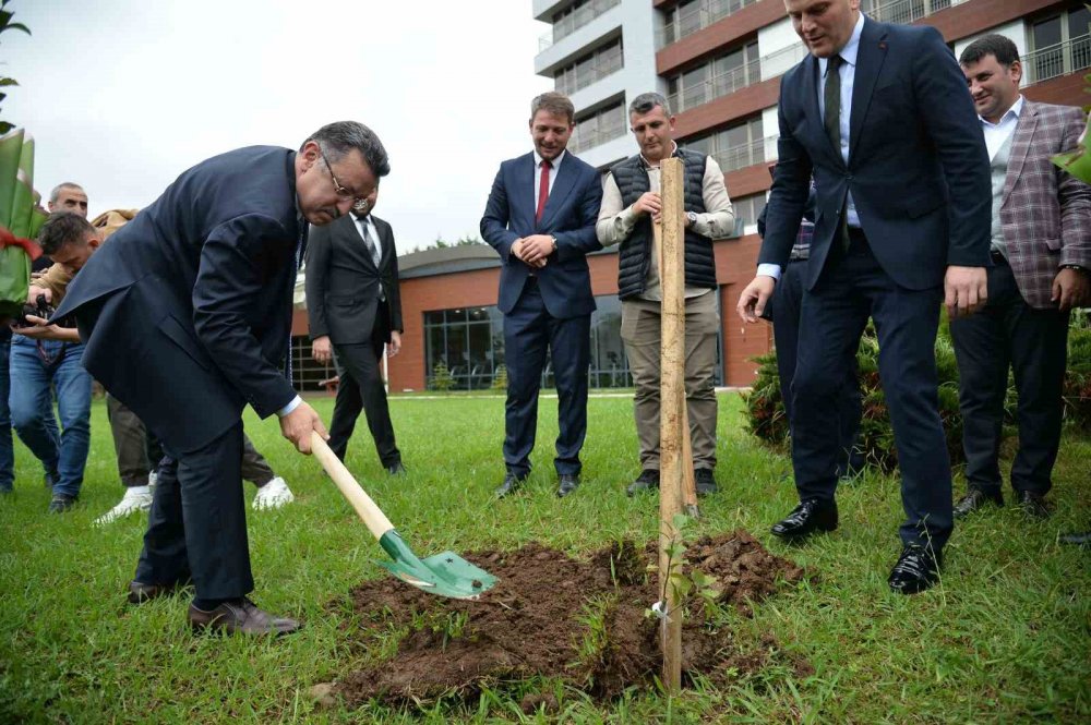 Yomra Elmasına Sahip Çıkıyor , Beş Bin Yer Elması Dikiliyor