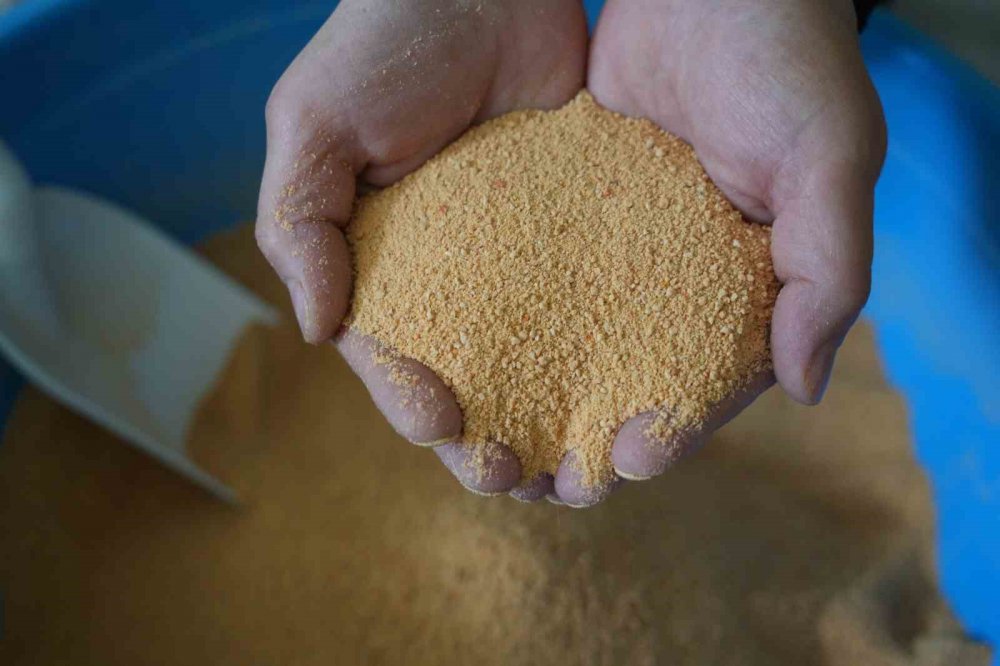 Bayburt doğallığın ili , doğal tarhana yetiştirilemiyor