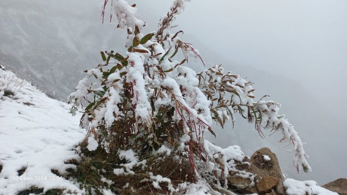 rize-kavrun-yayla-2024-kar-1.jpeg