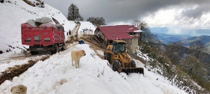 rize-mahsur-1.jpg