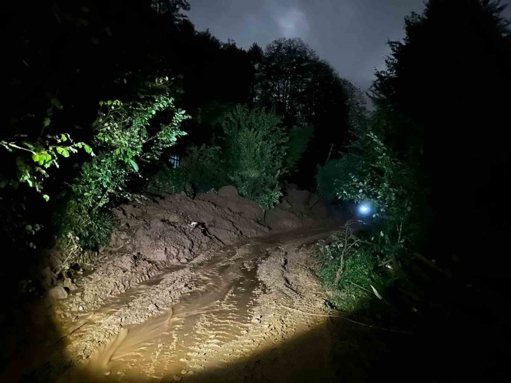 Rize'de aşırı yağıştan sonra sel ve heyelenlar oldu
